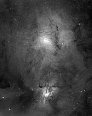 Rho Oph Reflection Nebula