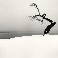 Michael Kenna, Kussharo Lake Tree, Study 5, Kotan, Hokkaido, Japan, 2007
