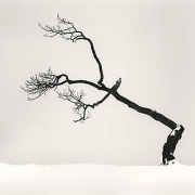 Michael Kenna, Kussharo Lake Tree, Study 6, Kotan, Hokkaido, Japan, 2007, gelatin silver print