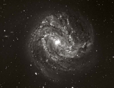 M83 Spiral Galaxy (in Hydra)