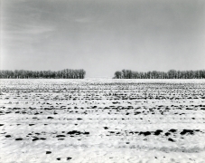 Untitled, from Illinois Landscapes, 1981, gelatin silver contact print, 8 x 10 inches
