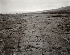 Petroglyphs, Hawaii, 1978