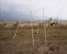 Barbed Wire Laundry Lines at La YaYa, Near Santa Clara, Cuba, 2004, chromogenic print, 20 x 24 inches