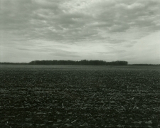 Untitled, from Illinois Landscapes, 2014, gelatin silver print, 8 x 10 inches