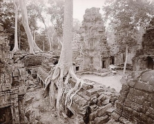 Western Courtyard, Ta Prohm, Angkor, Cambodia, 1999,