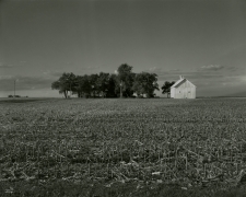 Untitled, from Farm Landscapes, 2010, gelatin silver contact print, 8 x 10 inches