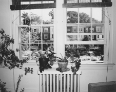Arnold Kramer Study, Ingleside Terrace, NW D.C.