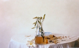 Untitled #32 (from the Morning and Melancholia series), 2001, Chromogenic print, 15 x 23 1/2 inches