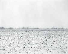 Untitled, from Illinois Landscapes, 2014, gelatin silver contact print, 8 x 10 inches