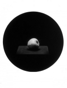 Apple, from the Paradise Series, 1993, gelatin silver print