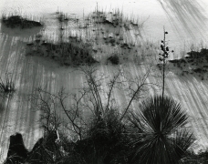 White Sands, 1946