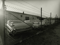 1959 Cadillacs, Long Island, New Yor, 1985
