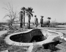 Pool and Palms, Gila Bend, Arizona, carbon pigment print, 32 x 40 inches