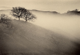 Approaching Fog, Sepia toned gelatin silver print, 5 x 7 inches