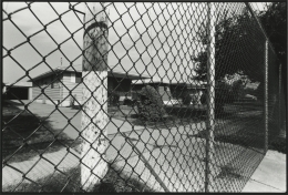 Love Canal #24, 1978-79