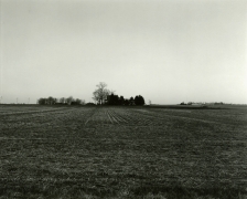 Untitled, from Farm Landscapes, 2011, gelatin silver contact print, 8 x 10 inches