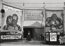 Count Nicholas&#039; Gorilla Show, Gooding Amusements, Maumee, Ohio, 1974, vintage gelatin silver print