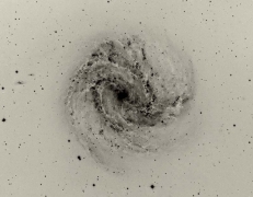 M83 Spiral Galaxy POS
