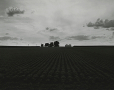 Untitled, from Farm Landscapes, 2009, gelatin silver contact print, 8 x 10 inches