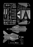 F-14 Tomcat, 2005, carbon pigment print, 38 x 28 1/4 inches