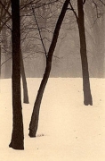 Winter in Palos, Sepia toned gelatin silver print, 7 x 5 inches