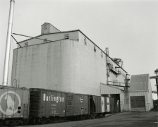 Nutrena Feed, Cargill, Mlps., 1976-77