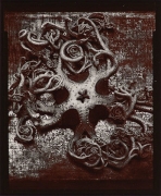 Cinquefoil, 1975, From Ephemera Portfolio, Toned gelatin silver print, 5 x 4 1/4 inches