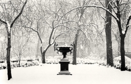 Winter Morning, Gramercy Park, New York, New York, 2003
