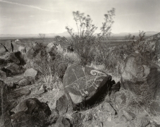 Big Horn Sheep with Arrows, Three Rivers, New Mexico, 1982