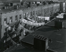 Tenement Rooftops, Hoboken, NJ