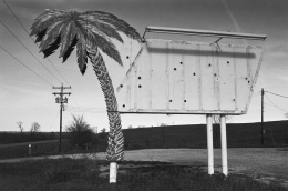 Earl Iverson Palm Tree Sign near Atchinson, Kansas