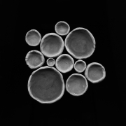 Han Nguyen, Untitled (empty bowls),&nbsp;from the San Diego Views Portfolio
