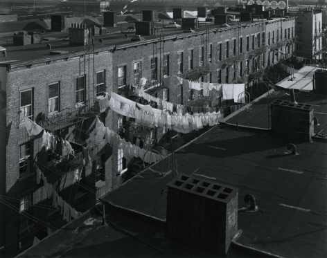 Tenement Rooftops, Hoboken, New Jersey, 1974